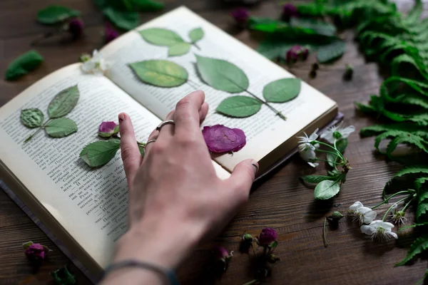 Floral mix of fresh cuted, pressed and dried spring flowers and leafs all decorated in rustic style on dark wood background with female hand arranging all soft focus overhead-angle shot — Stock Photo, Image