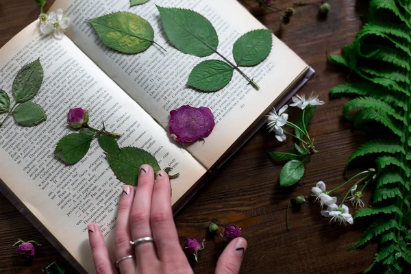 Floral mix of fresh cuted, pressed and dried spring flowers and leafs all decorated in rustic style on dark wood background with female hand arranging all soft focus overhead-angle shot — Stock Photo, Image