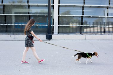 uzun saç ile serin genç ve güzel beyaz sarışın genç hippi kız portresi gülen ve having fun onun beagle yavru köpek ile poz