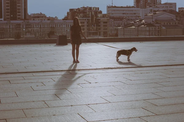 Retrato de fresco joven y hermosa rubia caucásica adolescente hipster chica con el pelo largo y hermoso está posando sonriente y divertirse con su perro perrito beagle — Foto de Stock