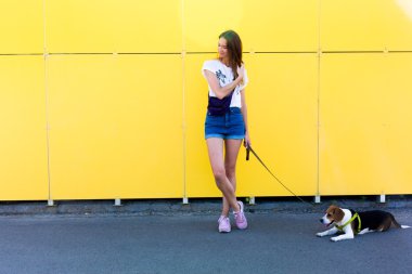 gülümseyen ve dışında beagle yavru köpeğini şaşırtıcı yaz gün boyunca eğleniyor poz kot şort giyen serin genç ve güzel beyaz sarışın hippi kız