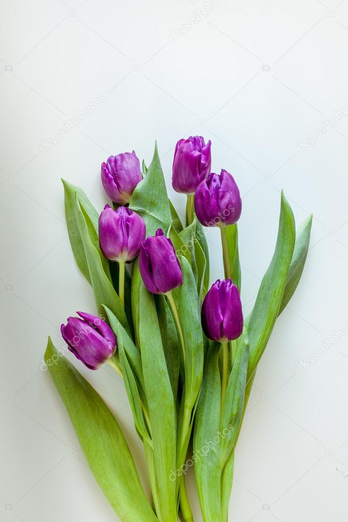 Beautiful bouquet of purple tulips on white background
