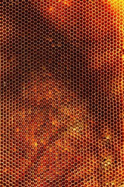 Bal arı kovanı arka plan