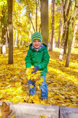 Küçük mutlu çocuk iskambil ile sonbahar park adlı yaprakları