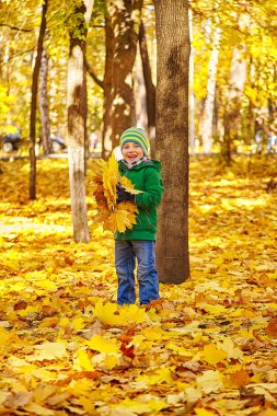 Küçük çocuk sonbahar park yapraklarda savurma