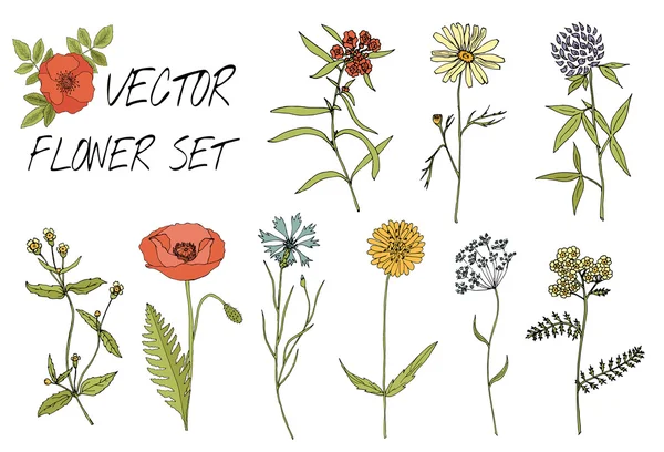 Bosquejo conjunto de flores — Vector de stock