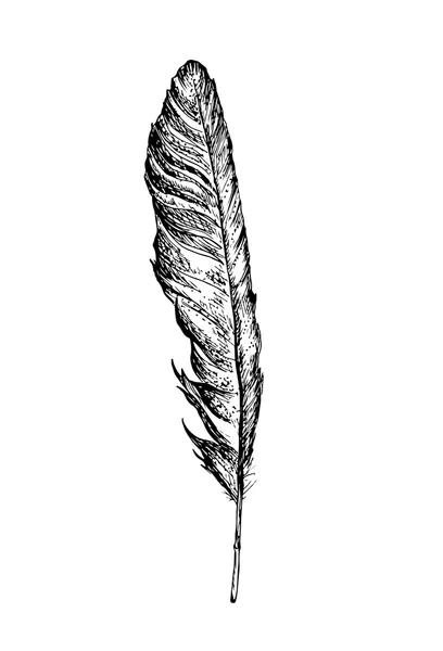 Tüy kroki çizim