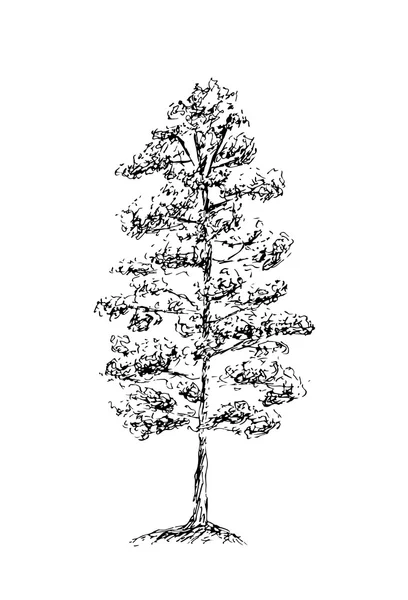 Abbildung einer Baumskizze — Stockvektor