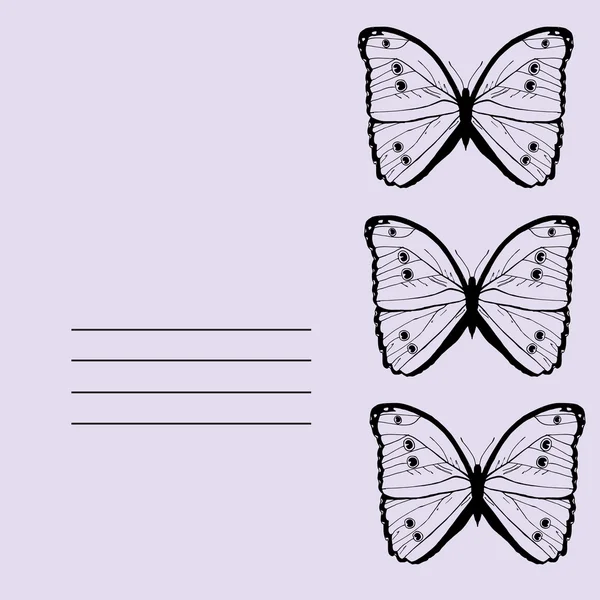 Mariposas gráficas — Vector de stock