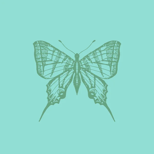 Graficzny motyl — Wektor stockowy