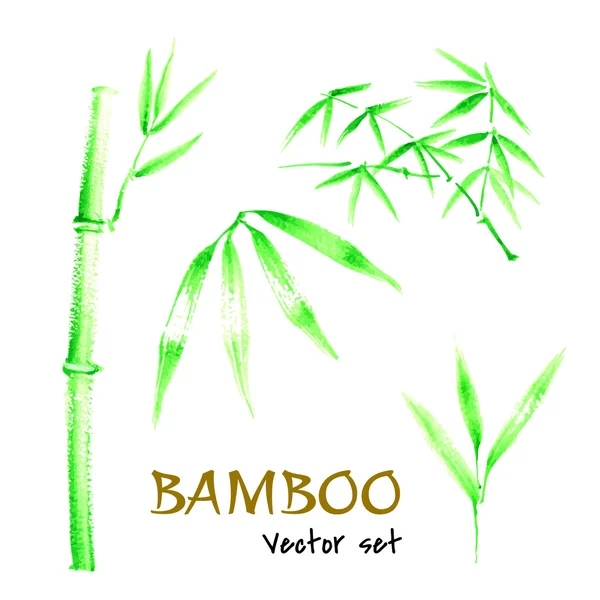 Set de bambou — Image vectorielle