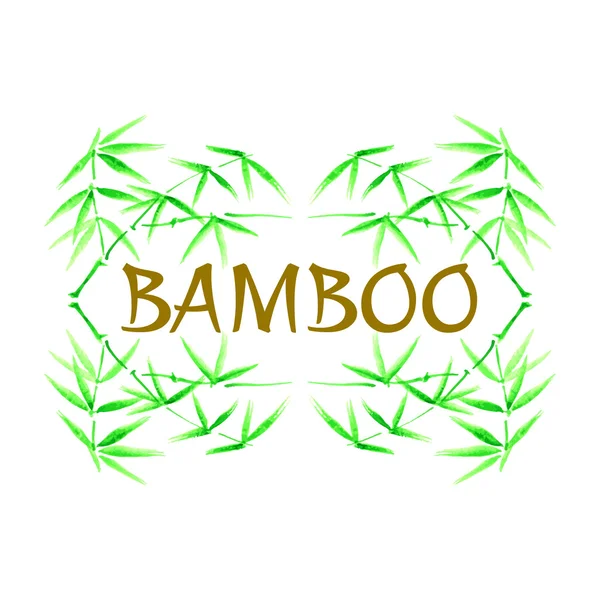sbamboo çerçeve