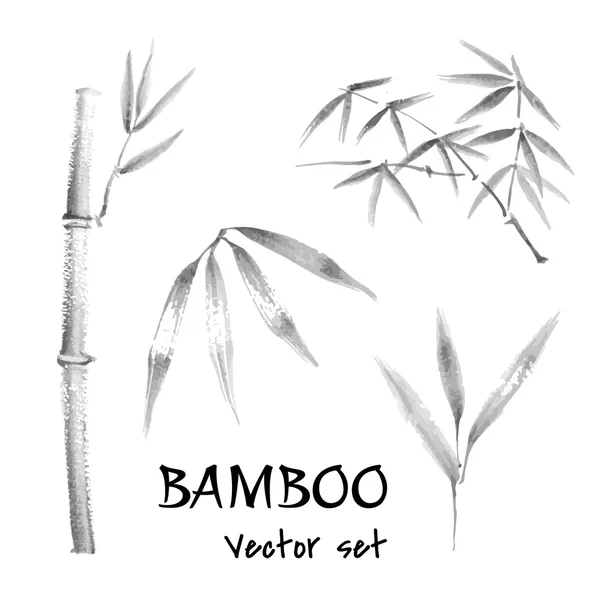 Set de bambú — Vector de stock
