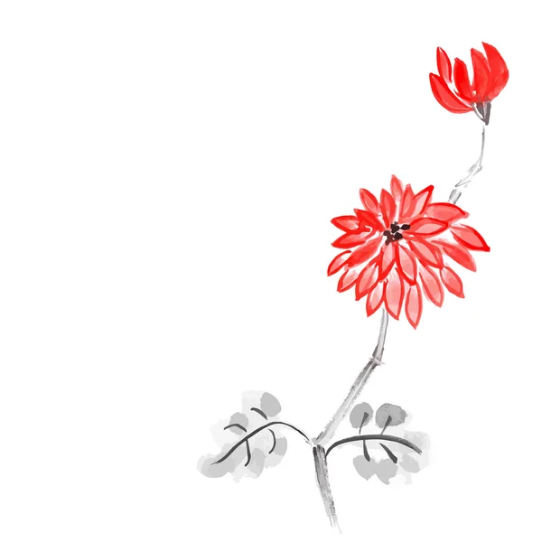 Aquarel chrysant — Stockvector