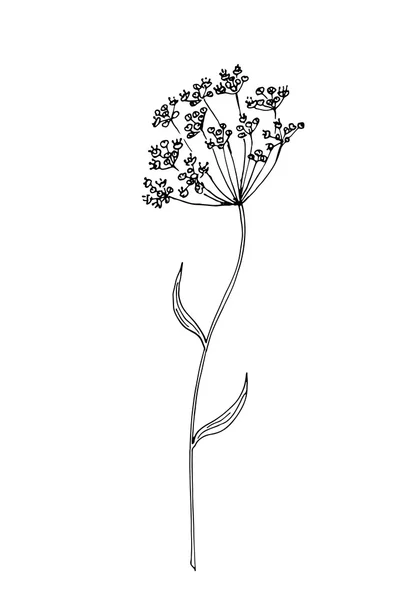 花のスケッチ図 — ストックベクタ