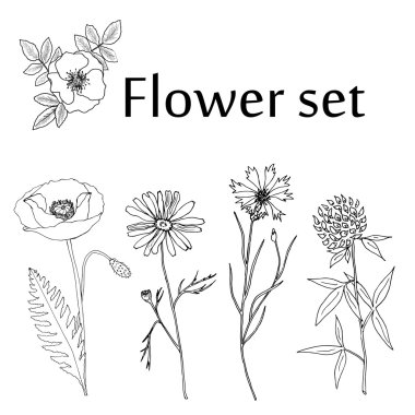 Kroki çiçek ayarla