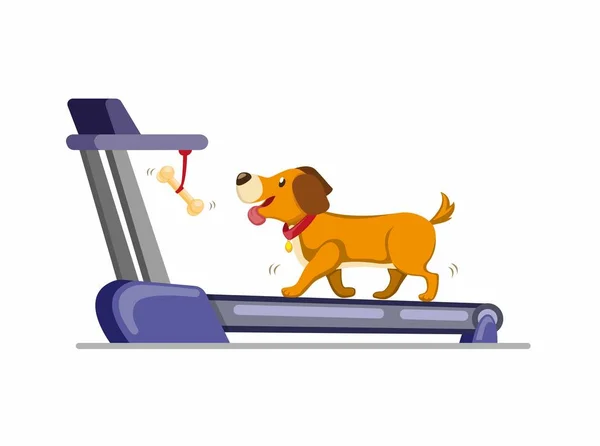 Собака Біжить Біговій Доріжці Щоб Отримати Кістку Навчання Собаки Бігати — стоковий вектор