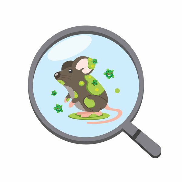 magnifying glass detected bacteria virus in rat, disease infection on animal in cartoon flat illustration vector isolated in white background