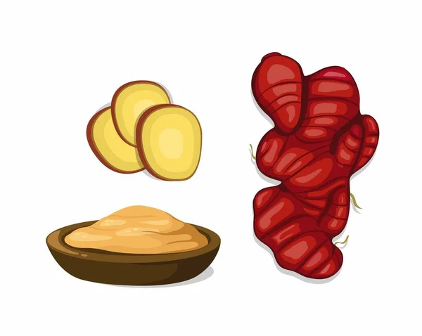 Red Ginger Simbol Obat Herbal Diatur Dalam Gambar Kartun Vektor Stok Vektor