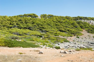 Puglia tipik bitki örtüsü ile Akdeniz sahil