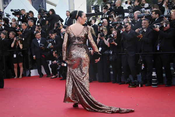 aktris rossy de palma