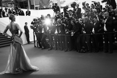 Cannes film festivali 2015