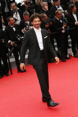 Tomer sisley 67 yıllık cannes film festivali sırasında