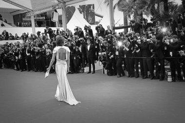 Ines de la fressange model