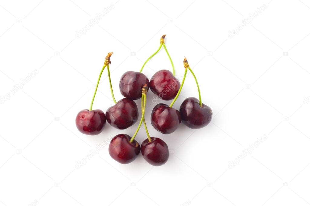 Cherry, cherry blossom, cherry tree, red ripe cherries