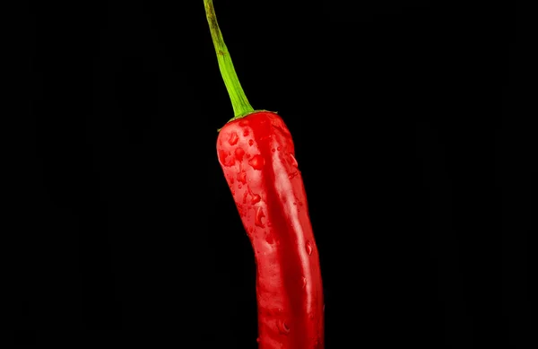 Ed paprika, pepř, paprika, chilli, chilli, — Stock fotografie