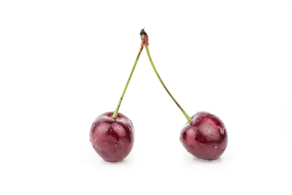 Вишня, вишня, красные спелые вишни — стоковое фото