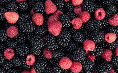 Ahududu, kadar ürün çeşitliliği, çilek, damlacıkları, tam, yakın, renkli, gıda,