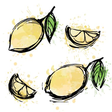 Sulu boya taze limon kümesi