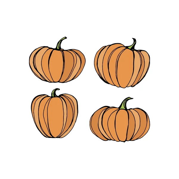 Set of different pumpkins — Stock Vector
