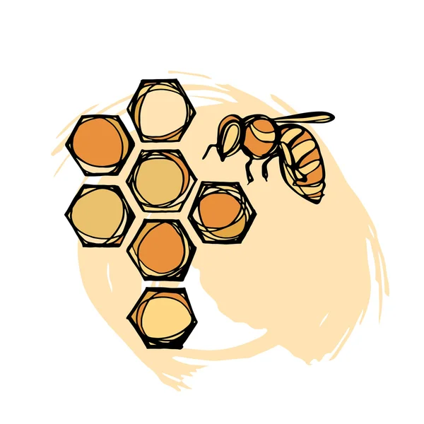 Bee on honeycomb banner — Stock Vector