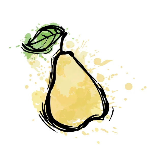 Sketch ripe pear on white — Stock Vector