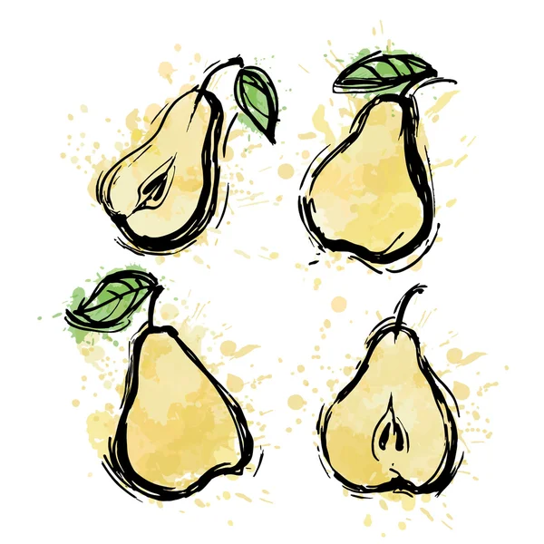 Sketch ripe pears — Stock Vector