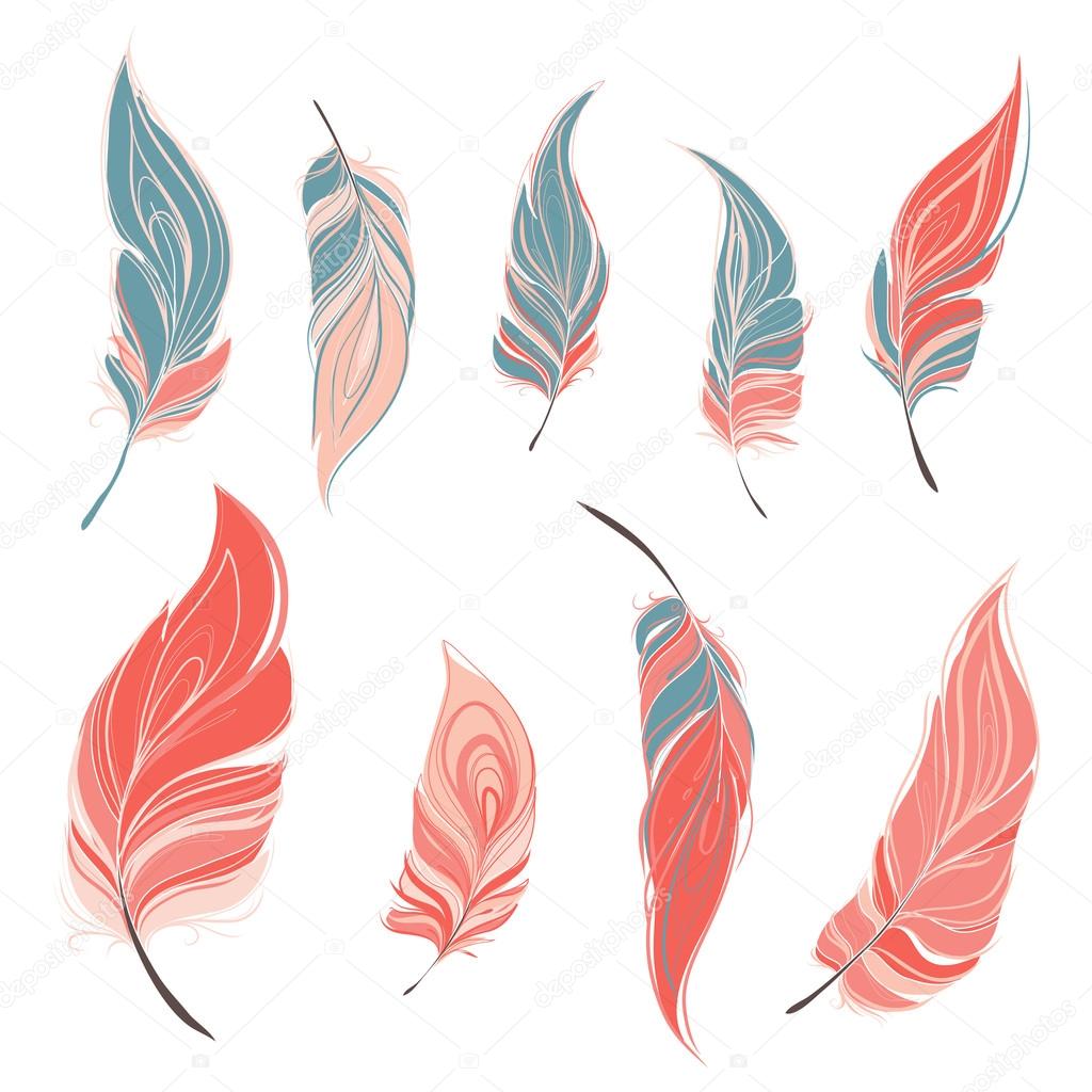 Set of ornamental feathers