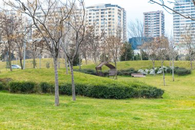 Central Park 'ta hava soğuk. Bakü, Azerbaycan. 15.02.2025.