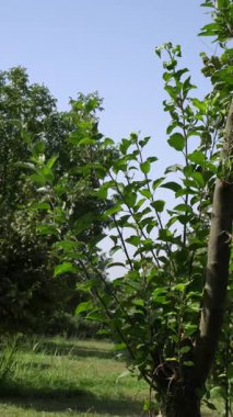 Kırsal alanda inanılmaz bir doğa.