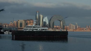 Hazar Denizi 'nin su yüzeyinde uçan martılar..