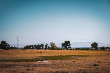 Oğuz bölgesi. Yaz tatilleri ve tatil konsepti. Oğuz, Azerbaycan. 13.07.2025.
