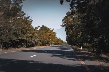 Geliyoruz. Oguz-Sheki yolu. Seyahat, tatil, tatil ve yaz maceraları..