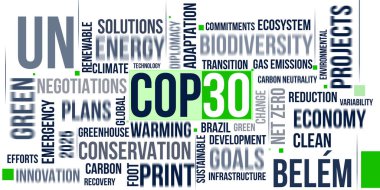 Birleşmiş Milletler İklim Değişikliği Konferansı veya Birleşmiş Milletler İklim Değişikliği Konferansı 'nın 30. oturumu olan UNFCCC, COP30 partileri konferansı. Brezilya Belem 'deki Hangar Kongre Merkezi' nde 10-21 Kasım 2025 tarihleri arasında düzenlenmiştir..