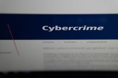 Uluslararası Suç Polis Örgütü (INTERPOL) sitesinin bir web sayfasında suçların türleri, davayla ilgili bilgiler, operasyonel faaliyetler ve mağdur olmamak için insanlara tavsiyeler yer alıyor. Bakü, Azerbaycan. 20 Şubat 2026.