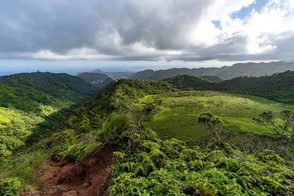 Hawaii 'deki Ka' au Krateri 'nde büyük yeşil.