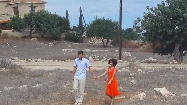 Lovers walking in a field — Stock Video