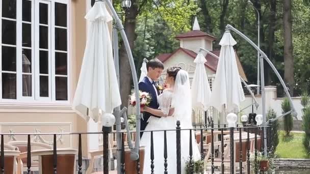 Groom and Bride in a park — Stock Video