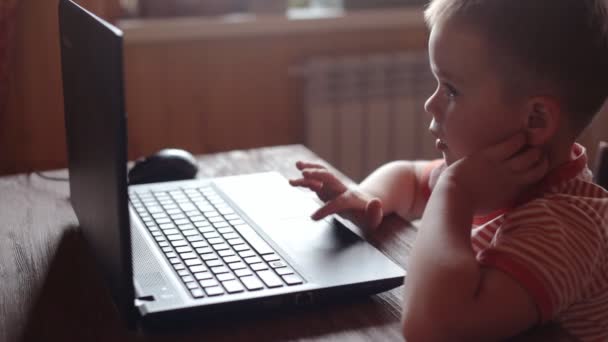 Маленькі хлопчики використовують ноутбук — стокове відео