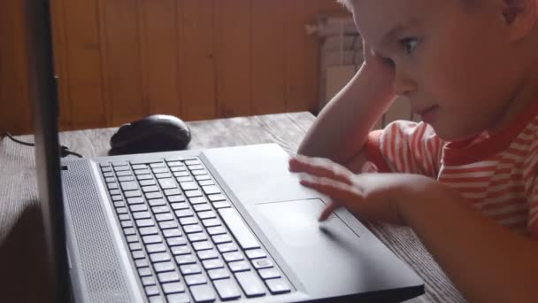 Los niños pequeños usan laptop — Vídeo de stock